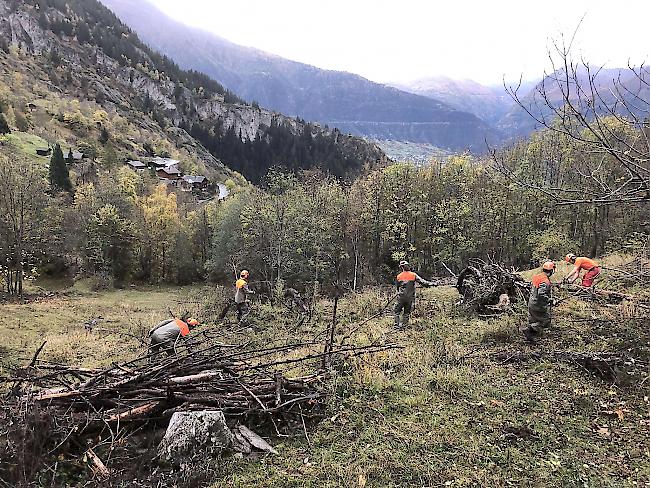 Die Zivilschützer aus dem Kanton Aargau räumten in Blatten auch eine Weide von durch Lawinen angespülten Steinen und Holz.