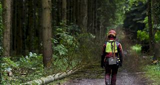 Der Forstarbeiter wurde von einem umst&uuml;rzenden Baum getroffen und dabei schwer verletzt. 
