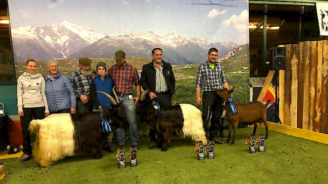 An der 12. Ziegenleistungsschau in Visp wurden zwei Missen- und ein Jung-Missen-Titel (mitte) vergeben. Angemeldet für die Wahl waren rund 170 Tiere.