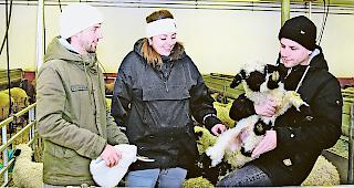 Sebastian (links) und Matthias Bumann besuchen ihren Wolllieferanten, das Unternehmen &laquo;Tradition Julen&raquo;, vertreten durch Rebecca Julen, in Zermatt.