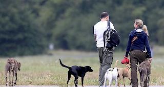 Ein Hund kostet in der Schweiz nicht &uuml;berall gleich viel. 