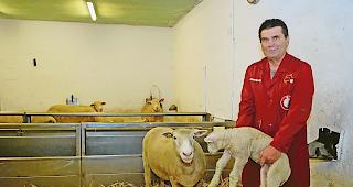 German Kalbermatter h&ouml;rt als Schafexperte auf.