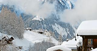 Mehr Geld. Die Subventionen f&uuml;r die Naturp&auml;rke Binn (Bild) und Pfyn-Finges sollen erh&ouml;ht werden.Foto mengis media