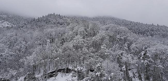 Tiefverschneiter Eyholzerwald.