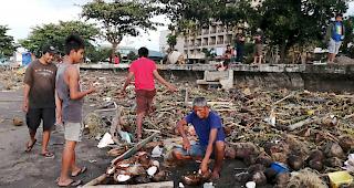 Die Philippinen werden j&auml;hrlich durchschnittlich von 20 Taifunen und St&uuml;rmen getroffen. 