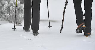 Am Donnerstag rutschte ein 23-j&auml;hriger Walliser auf einer Wanderung in Le Tr&eacute;tien aus und st&uuml;rzte rund 250 Meter einen steilen Abhang hinunter. (Symbolbild)