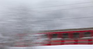 Die Kollision der Rh&auml;tischen Bahn mit dem Tier wurde umgehend gemeldet mit. Der Kadaver ist zur genetischen Analyse am pathologischen Institut der Universit&auml;t Bern. (Symbolbild / Archiv)