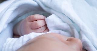 Ein Mitarbeiter fand das in eine Decke gewickelte M&auml;dchen in einer Kartonschachtel an einem &ouml;ffentlich zug&auml;nglichen Ort des Werkhofs. (Symbolbild)