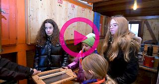 72 Stunden im Einsatz f&uuml;r die Bienen.