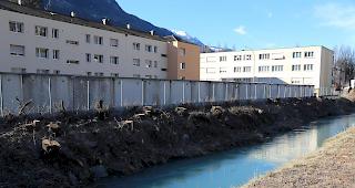 Die B&auml;ume entlang des Grossgrundkanals im Visper Kleeg&auml;rtenquartier sind gestutzt.