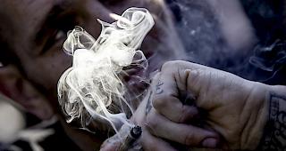 Die Universit&auml;t Bern hat in einem Fragebogen mehr als 1300 Personen &uuml;ber ihren Cannabis-Konsum befragt.