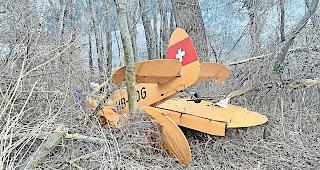 Abgest&uuml;rzt. Das Kleinflugzeug prallte bei Raron in die B&auml;ume.