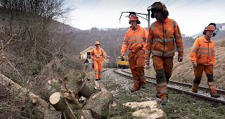 Sturm "Sabine" f&uuml;hrte zu Stromausf&auml;llen &ndash; und zu Verkehrsbehinderungen in grossen Teilen der Schweiz.