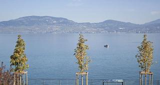 Bis 23. August k&ouml;nnen Interessierte ihre Kandidaturen f&uuml;r den &laquo;Preis G&auml;rten und &ouml;ffentliche R&auml;ume Wallis 2020&raquo; einreichen.