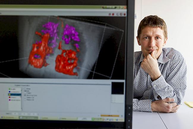 Henning Müller, Forscher an der Hes-so Valais/Wallis, nimmt Einsitz im Nationalen Forschungsrat des Schweizerischen Nationalfonds.