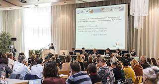 Der Vorbericht&nbsp;aus den thematischen Kommissionen wird in der zweiten Phase&nbsp;dem Plenum des Verfassungsrates vorgelegt.