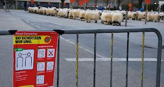 Corona-Alarm. Der Widdermarkt fand hinter geschlossenen T&uuml;ren statt.