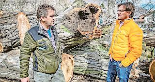 Verantwortlich. Martin Imesch, Leiter des Forstreviers Visp, (links) und Norbert Zuber, Leiter Infrastruktur und Umwelt der Gemeinde Visp, koordinieren die F&auml;llaktion.