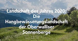 Die Stiftung Landschaftsschutz Schweiz zeichnet die Hangbew&auml;sserungslandschaft der Oberwalliser Sonnenberge als Landschaft des Jahres 2020 aus. Der Festakt f&auml;llt jedoch ins Wasser.
