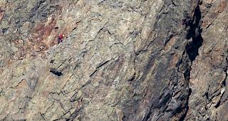 Ein Gebirgsspezialist sucht nach dem vermissten F/A-18 Piloten &uuml;ber dem Chelengletscher &ouml;stlich des Hinter Tierberg in G&ouml;schenen am Mittwoch 31. August 2016. 