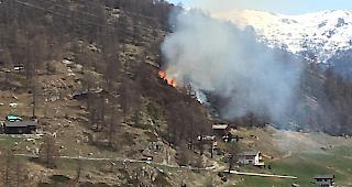 Oberhalb von T&ouml;rbel ist am fr&uuml;hen Nachmittag ein lichtes Waldst&uuml;ck in Brand geraten. Gegen 15 Uhr hatte die Feuerwehr von T&ouml;rbel mithilfe eines Helikopters der Air Zermatt den Fl&auml;chenbrand unter Kontrolle.