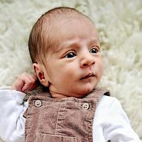 Nevio Riccardo Schmid